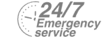 24/7 Emergency Service Pest Control in Kentish Town, NW5. Call Now! 020 8166 9746