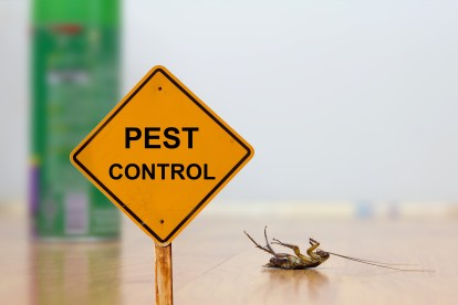 Pest Contol in Kentish Town, NW5. Call Now 020 8166 9746